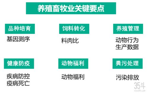 農(nóng)業(yè)食品技術(shù)創(chuàng)新趨勢(shì)與價(jià)值鏈重塑 技術(shù)服務(wù)的核心驅(qū)動(dòng)力